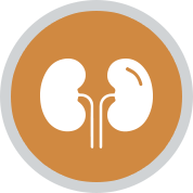 mehr zur Nephrologie