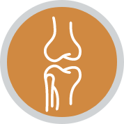mehr zur Osteologie
